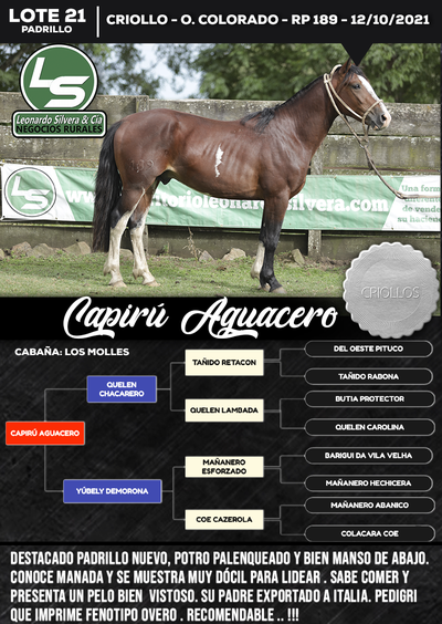 Lote CAPIRÚ AGUACERO