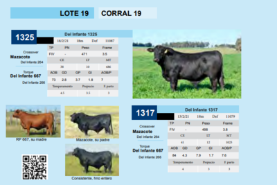 Lote CORRAL 19