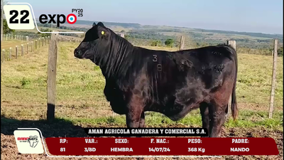 Lote LOTE 22