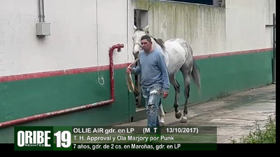Lote Lote 19
