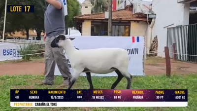 Lote LOTE 17