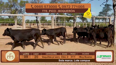 Lote Lote 9