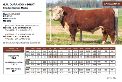 Lote G.M. DURANGO 4566/7  (GRUPO 1)