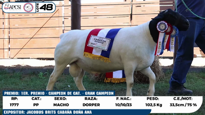 Lote LOTE 48