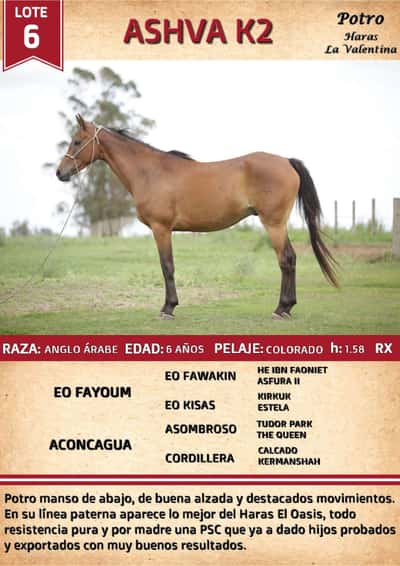 Lote ASHVA K2