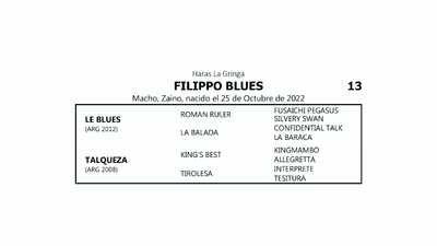 Lote FILIPPO BLUES (LE BLUES  -  TALQUEZA por  KING’S BEST)