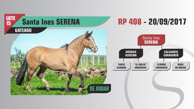 Lote Santa Ines SERENA