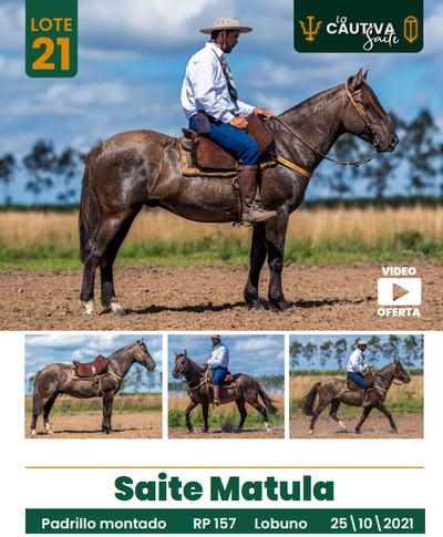 Lote LOTE 21