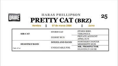 Lote PRETTY CAT