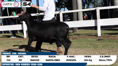 Lote LOTE 54