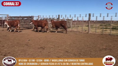 Lote CORRAL 37