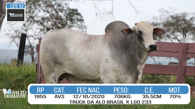 Lote LOTE 53