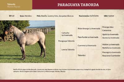 Lote Paraguaya Taborda (RP 89) - Cabaña "Taborda"
