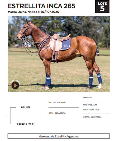Lote LOTE 5