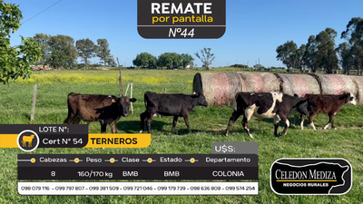 Lote 8 Terneros en Tarariras, Colonia