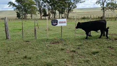Lote Lote 2