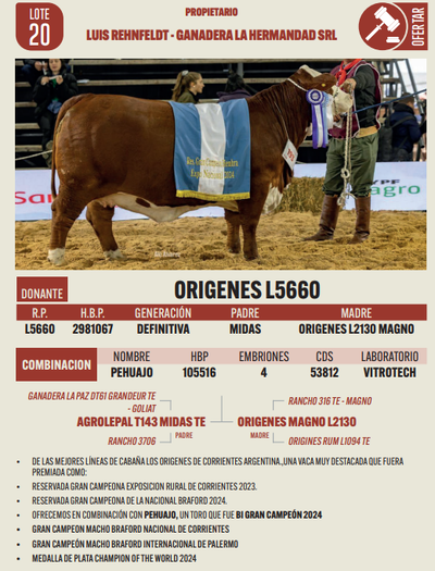 Lote LOTE 20