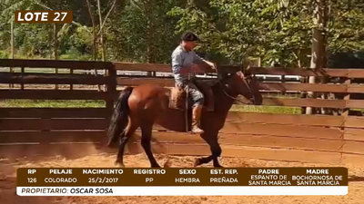 Lote LOTE 27- CAMPO