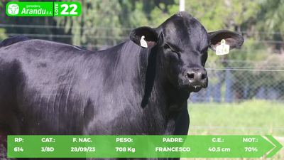 Lote LOTE 22