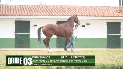 Lote Lote 3