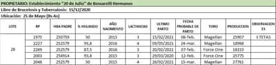 Lote Lote 28