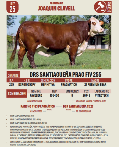 Lote LOTE 25
