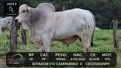 Lote LOTE 9