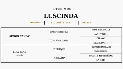 Lote LUSCINDA (SEÑOR CANDY - LLAY LLAY)