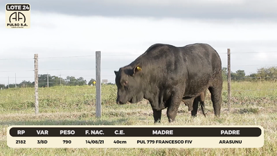 Lote LOTE 24
