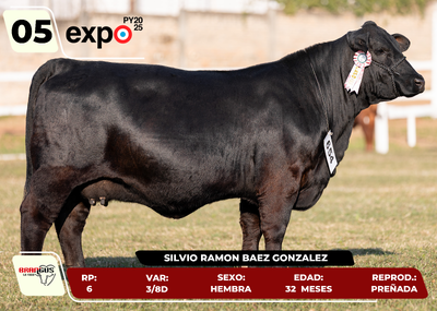Lote LOTE 5