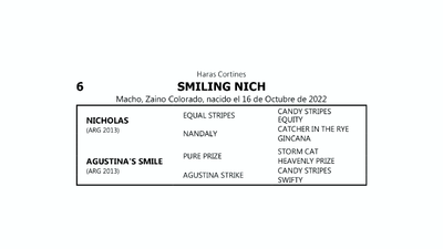 Lote SMILING NICH (NICHOLAS -  AGUSTINA'S SMILE por PURE PRIZE)