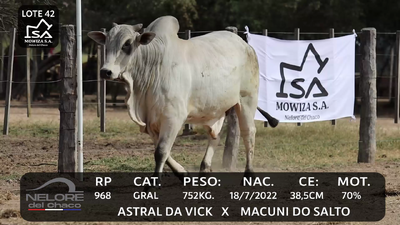 Lote LOTE 42