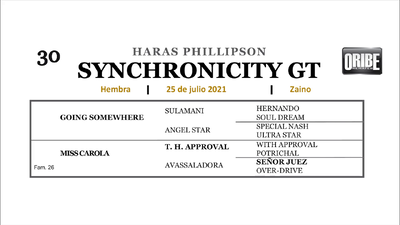 Lote SYNCHRONICITY GT