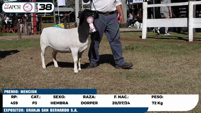 Lote LOTE 38