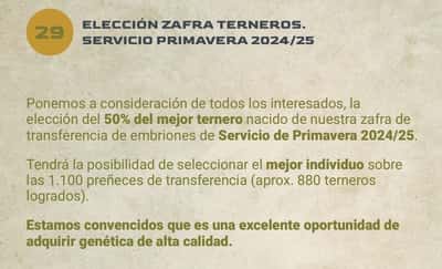 Lote LOTE 29