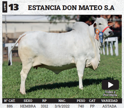 Lote LOTE 13 - BOZAL