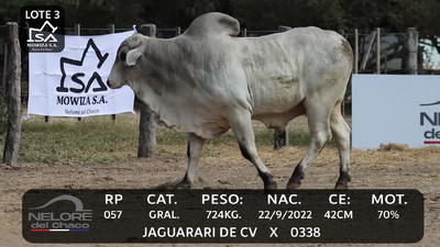 Lote LOTE 3
