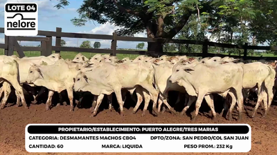 Lote LOTE 4