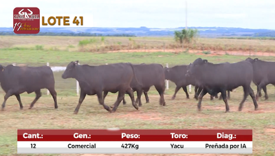 Lote Reproductores de Alborada - Lote 41