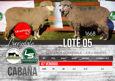 Lote LOTE 05