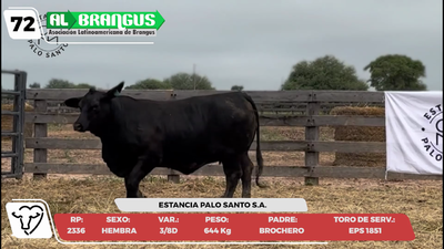 Lote LOTE 72 -CAMPO