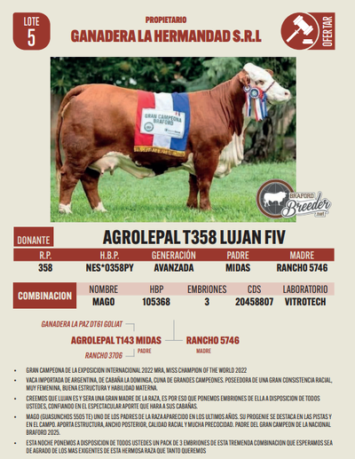 Lote LOTE 5