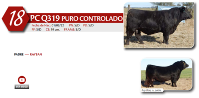 Lote MACHO PC