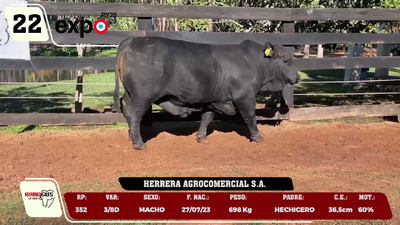 Lote LOTE 22