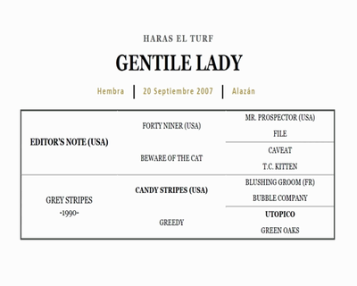 Lote GENTILE LADY (EDITOR'S NOTE - GREY STRIPE)