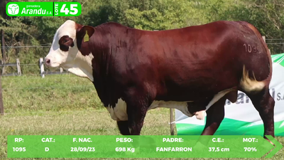 Lote LOTE 45