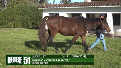 Lote Lote 51
