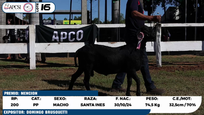 Lote LOTE 16