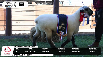 Lote LOTE 51- BOZAL