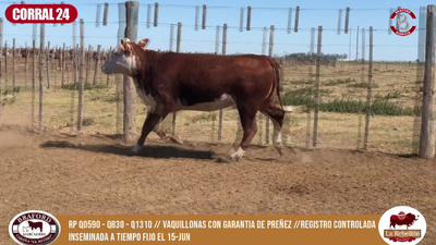Lote CORRAL 24